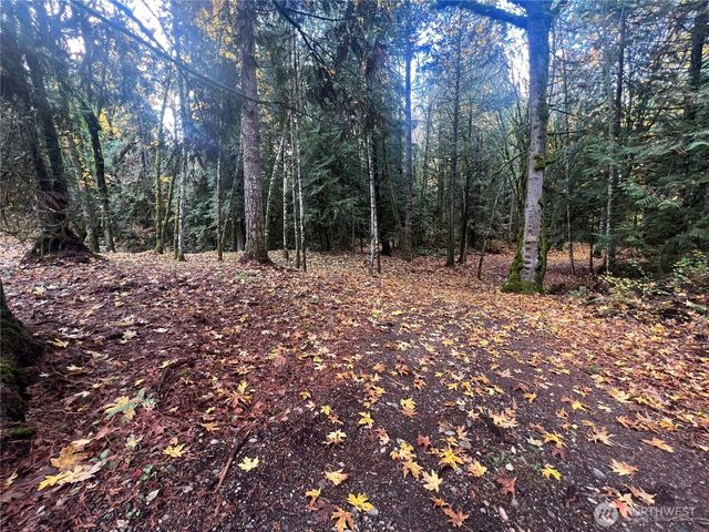 19713 196th ave E, Orting, WA 98360