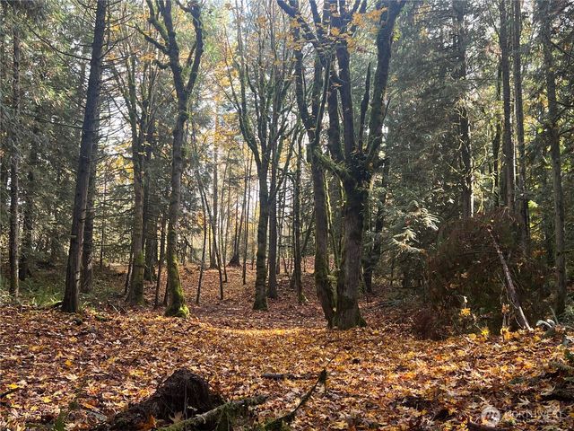 19713 196th ave E, Orting, WA 98360