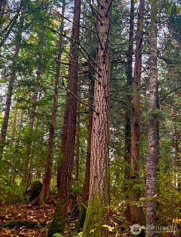 19713 196th ave E, Orting, WA 98360