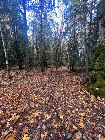 19713 196th ave E, Orting, WA 98360