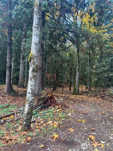 19713 196th ave E, Orting, WA 98360