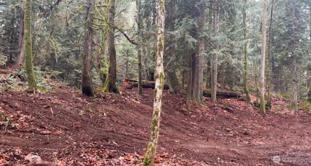 19713 196th ave E, Orting, WA 98360