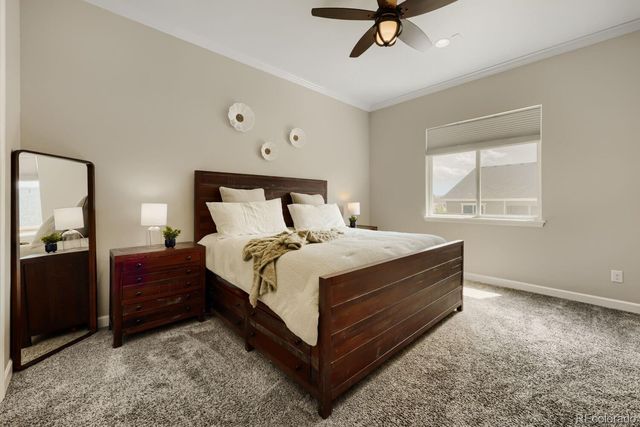 6698 Palmetto Court, Castle Rock, CO 80108