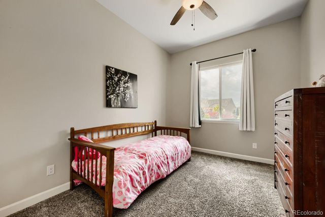 6698 Palmetto Court, Castle Rock, CO 80108