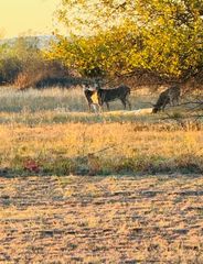 541 County Road 1428, Ninnekah, OK 73067