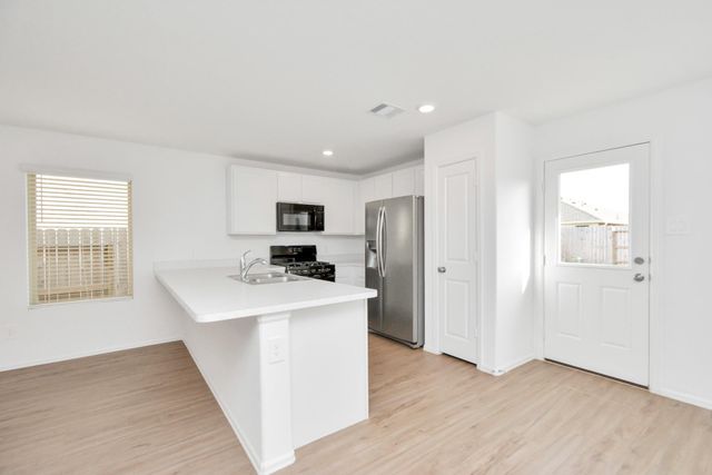 24207 Becker Hollow Lane, Hockley, TX 77447