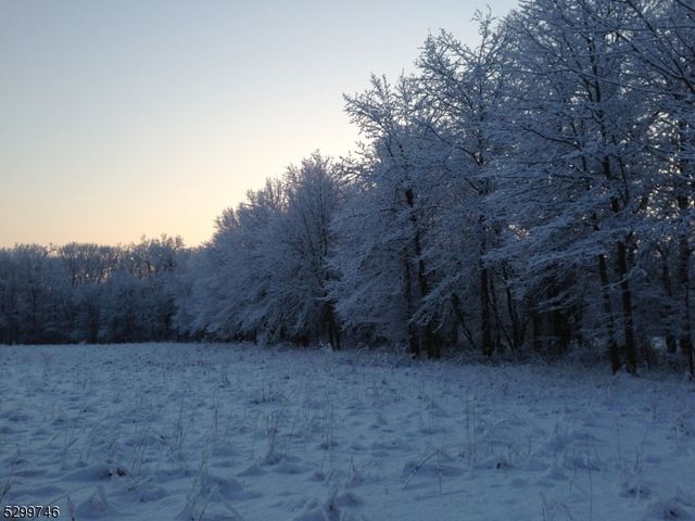 35 Barbertown Point Breeze, Kingwood Twp., NJ 08825