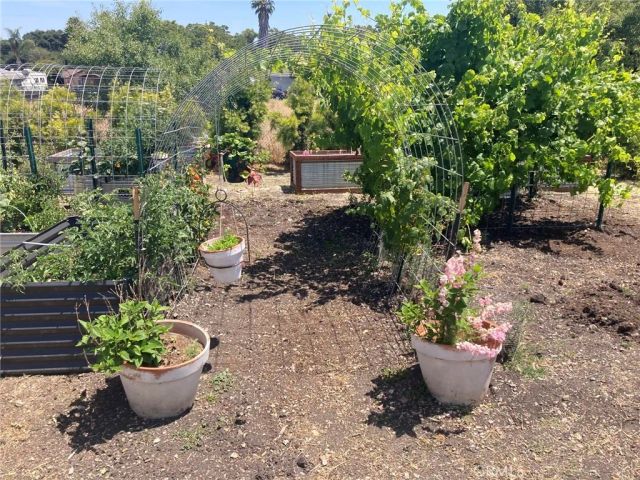 182 E Chestnut, Nipomo, CA 93444