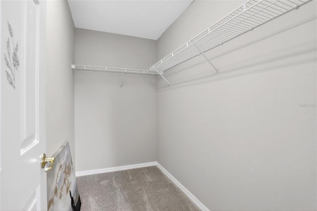 8821 N RIVER ROAD, Tampa, FL 33635