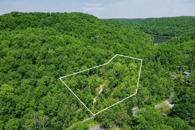 510 Wilson Dr, Smithville, TN 37166
