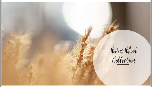 114 IveyBrooke Lane 62, Alpharetta, GA 30009