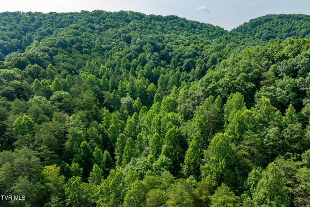 1569 War Valley Road, Rogersville, TN 37857