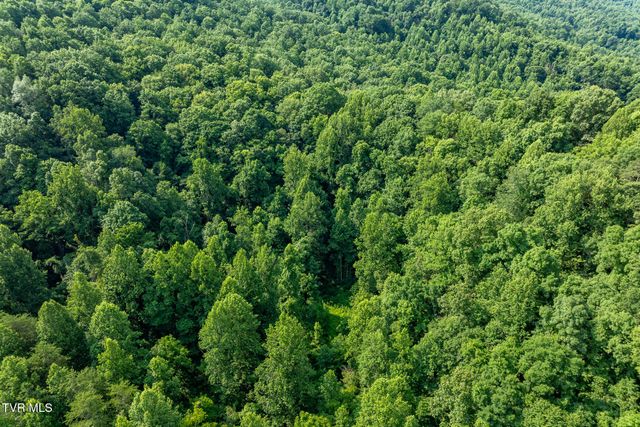 1569 War Valley Road, Rogersville, TN 37857