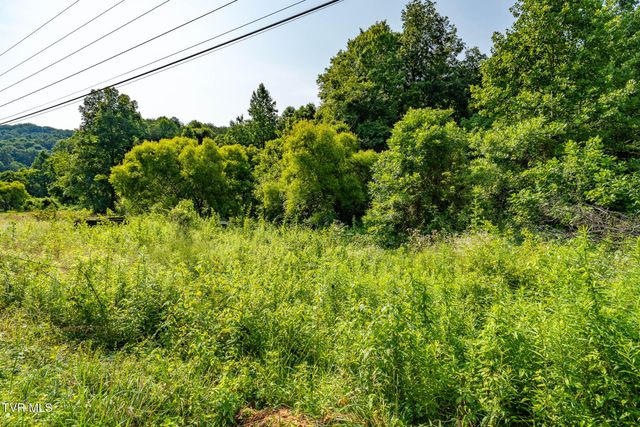 1569 War Valley Road, Rogersville, TN 37857