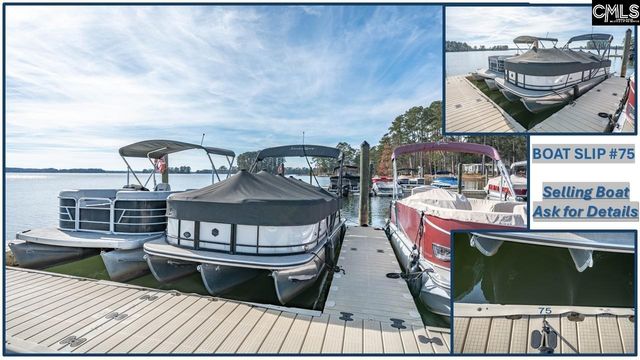 616 Calabria Court, Chapin, SC 29036