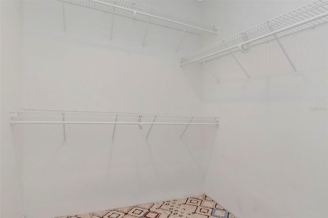 4234 BRENTWOOD PARK CIRCLE, Tampa, FL 33624