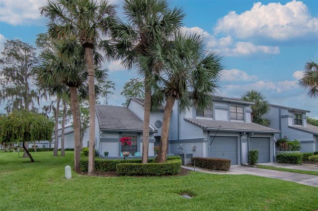 4234 BRENTWOOD PARK CIRCLE, Tampa, FL 33624