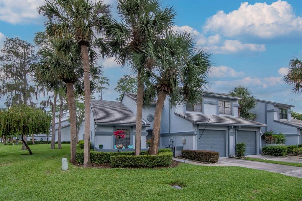 Image 34 of property listing at 4234 BRENTWOOD PARK CIRCLE, Tampa, FL 33624