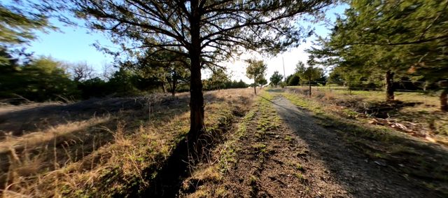 11193 Cr-496, Princeton, TX 75407