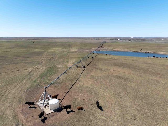 Bourquin Cattle 813 Ac, Follett, TX 79034