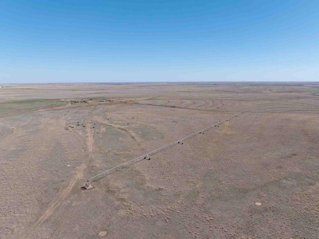 Bourquin Cattle 813 Ac, Follett, TX 79034