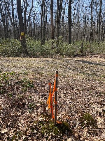 0 S Folino, Stonycreek Twp, PA 15926