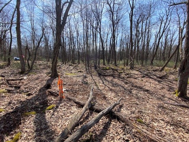 0 S Folino, Stonycreek Twp, PA 15926