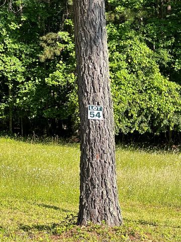 Lot 54 Pinehurst Road, Blairsville, GA 30512