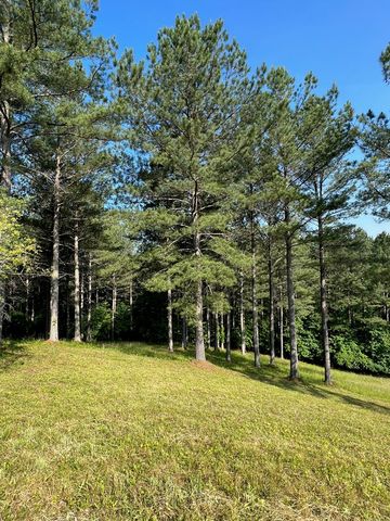 Lot 54 Pinehurst Road, Blairsville, GA 30512