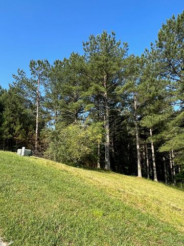 Lot 54 Pinehurst Road, Blairsville, GA 30512