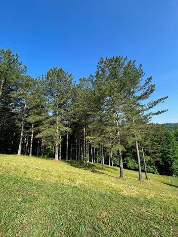 Lot 54 Pinehurst Road, Blairsville, GA 30512
