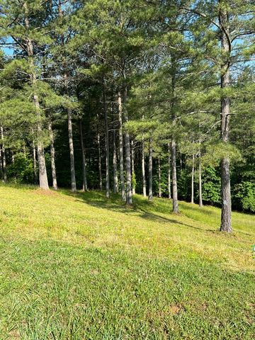 Lot 54 Pinehurst Road, Blairsville, GA 30512