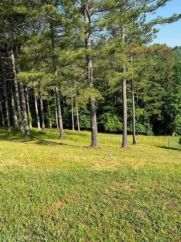 Lot 54 Pinehurst Road, Blairsville, GA 30512