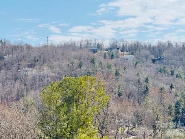 121 Burning Tree Lane 121, Flat Rock, NC 28731