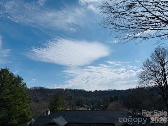 121 Burning Tree Lane 121, Flat Rock, NC 28731