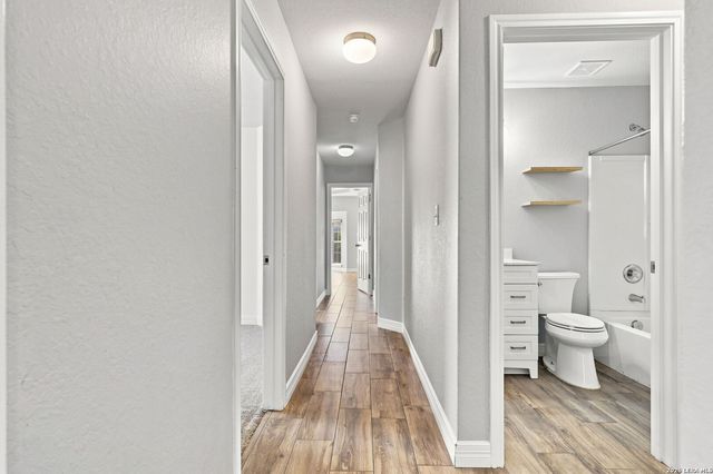 24211 Invitation Oak, San Antonio, TX 78261