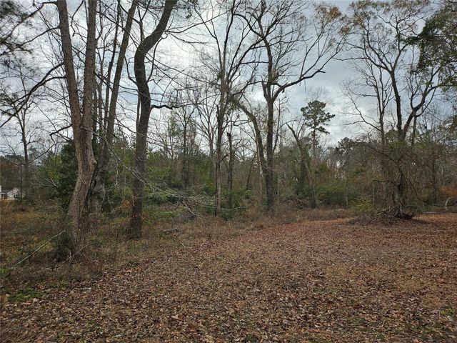 22647 Kelly Drive, Saratoga, TX 77585