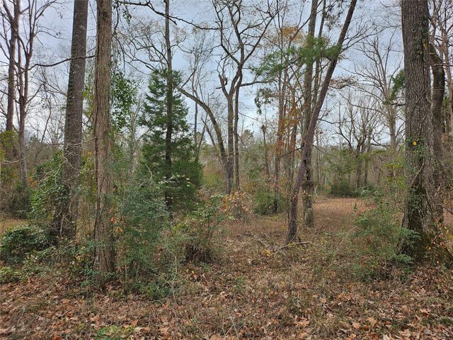 22647 Kelly Drive, Saratoga, TX 77585