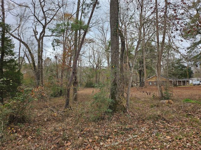 22647 Kelly Drive, Saratoga, TX 77585