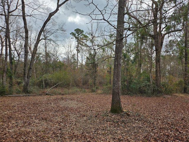 22647 Kelly Drive, Saratoga, TX 77585