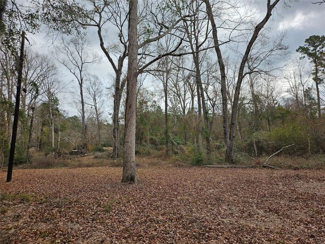 22647 Kelly Drive, Saratoga, TX 77585