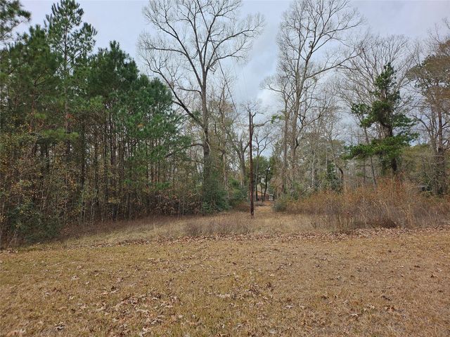 22647 Kelly Drive, Saratoga, TX 77585