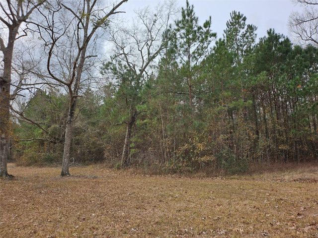 22647 Kelly Drive, Saratoga, TX 77585