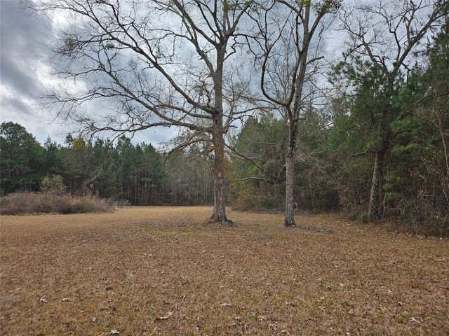 22647 Kelly Drive, Saratoga, TX 77585