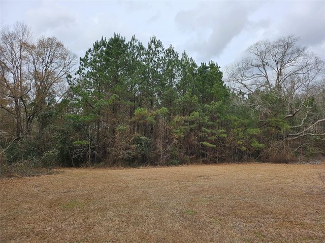 22647 Kelly Drive, Saratoga, TX 77585