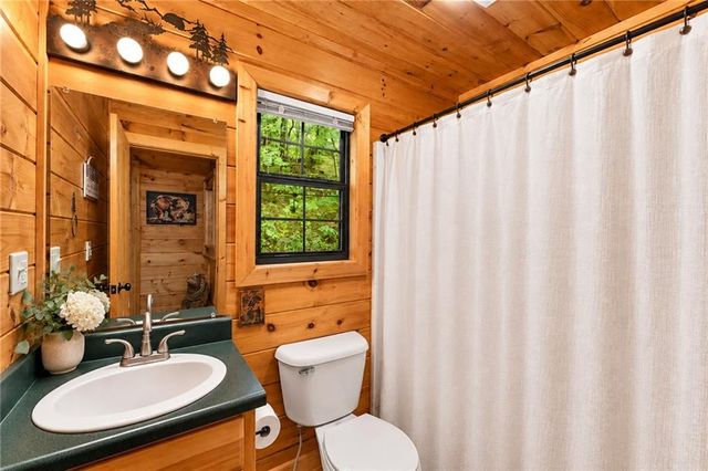 372 Mountain View Road, Ellijay, GA 30540