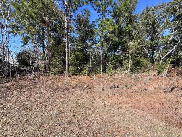 9052 N BURMANY WAY, Citrus Springs, FL 34433