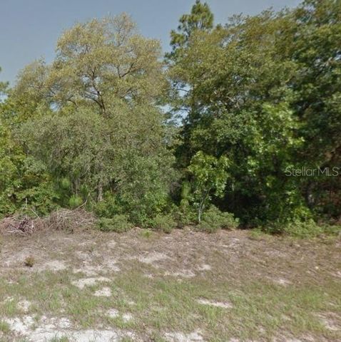 9052 N BURMANY WAY, Citrus Springs, FL 34433