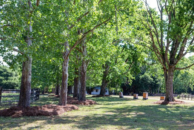 481 Cantey Lane, Rembert, SC 29128