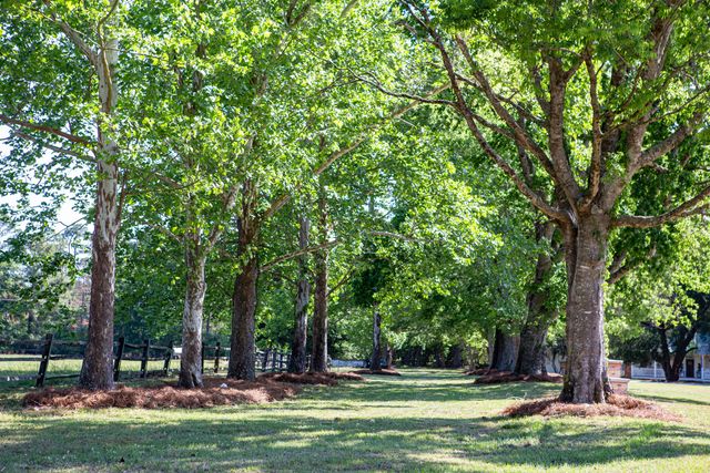 481 Cantey Lane, Rembert, SC 29128